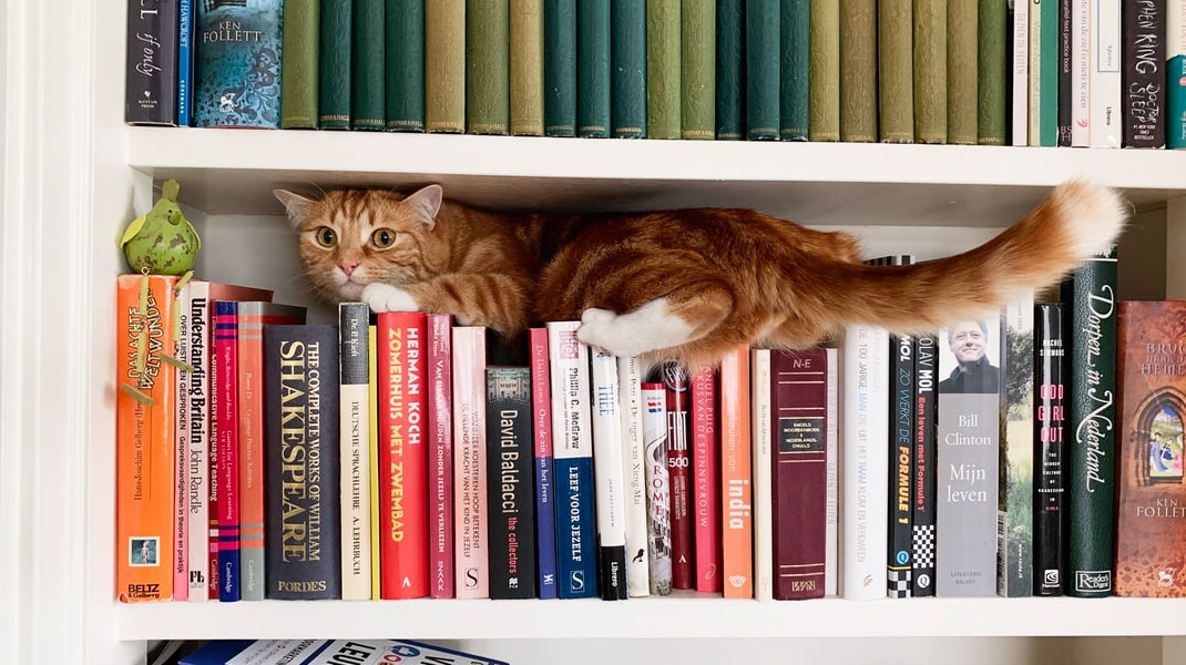 Natural Pet Care shop & Veterinart Surgeon